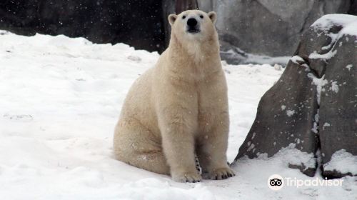 Assiniboine Park Zoo