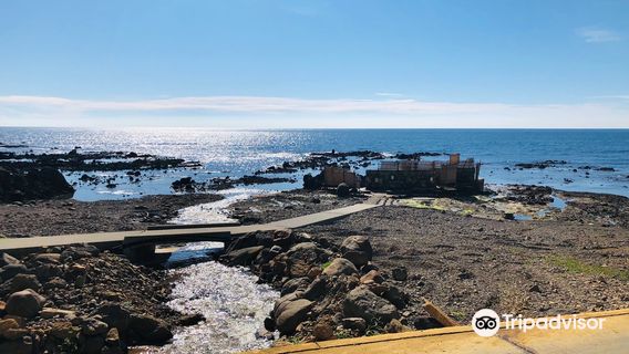 Koganezaki Furofushi Onsen Seaside Outdoor Bath
