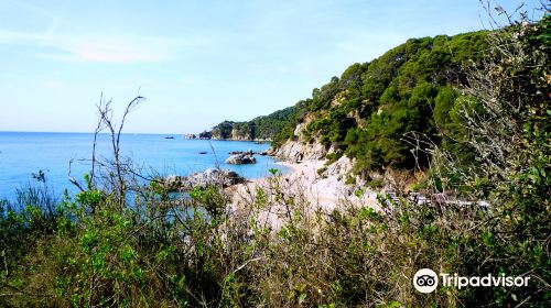 Platja de Canyelles