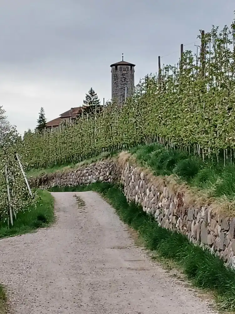 Hotels in Tassullo