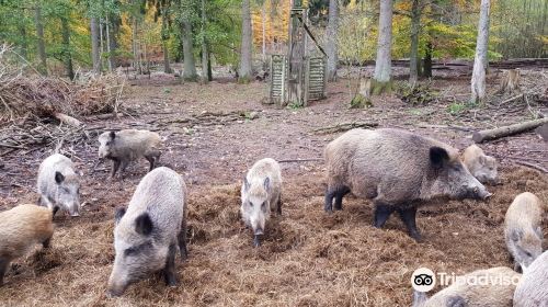 Wildpark Klaushof