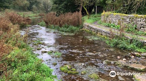 Limestone Way / Bradford River Walk