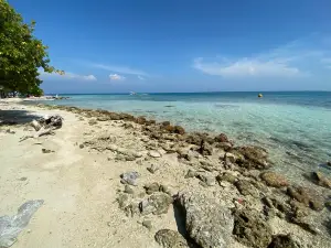 Múcura Island