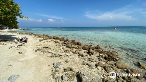 Isla Mucura