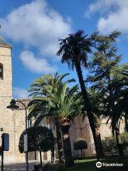 Iglesia Parroquial de San Pedro