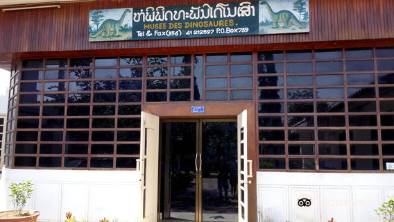 Dinosaur Museum