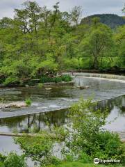 Horseshoe Falls