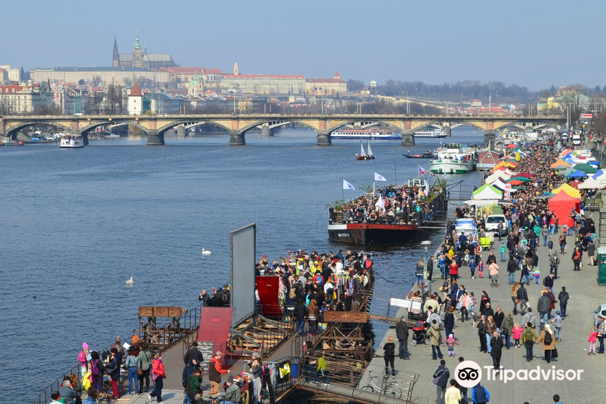 ALEA Divers, Prague