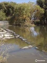 Colorado Gators Reptile Park