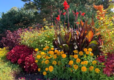 Minnesota Landscape Arboretum