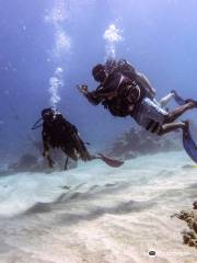 Just Diving In Mauritius Scuba Diving