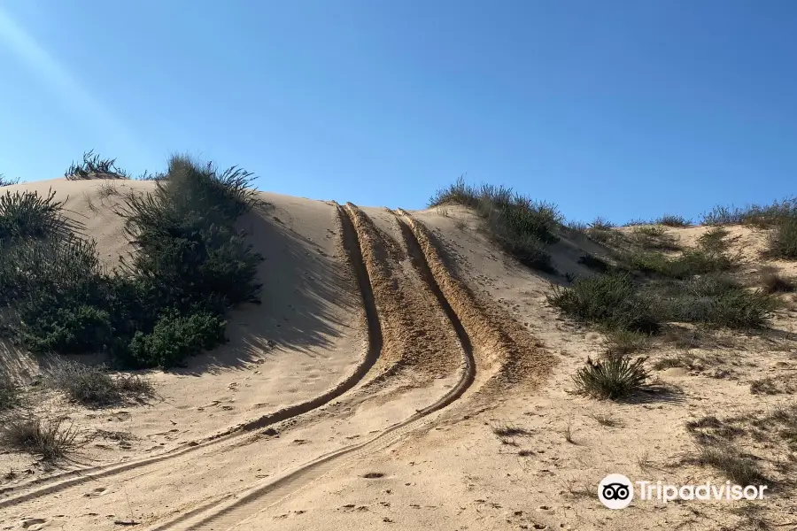 Nitsanim Dunes Nature Reserve