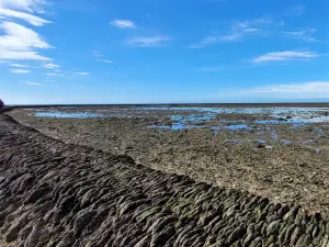 Los Corrales de Rota