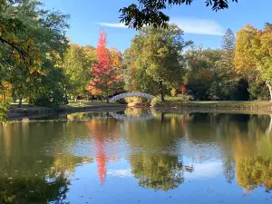 Royaume des jardins de Dessau-Wörlitz