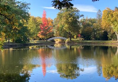 Royaume des jardins de Dessau-Wörlitz