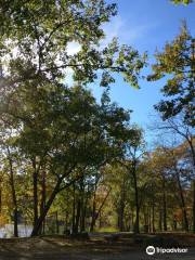 Lake of the Ozarks State Park