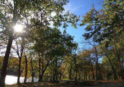 Pawhuska Township