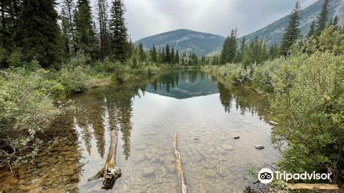 Bow Valley Provincial Park