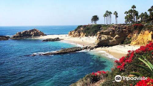 Treasure Island Beach