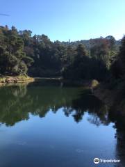 Pantano de Vallvidrera