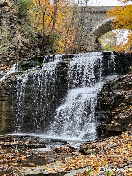 Πτήση Harrisburg προς Ithaca