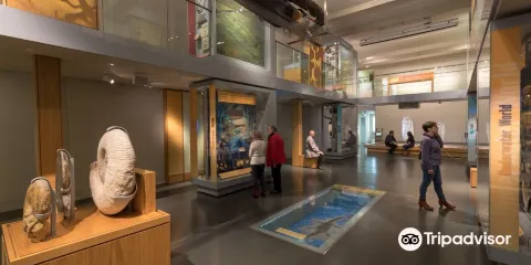 The Museum of Somerset