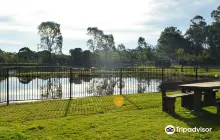 Hunter Valley Wildlife Park