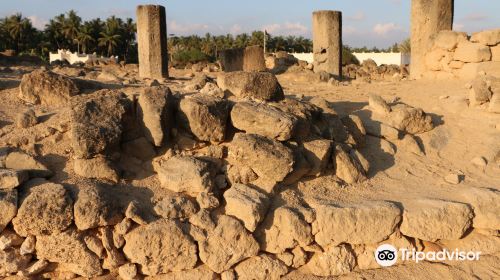 Al Balid Archeological Site