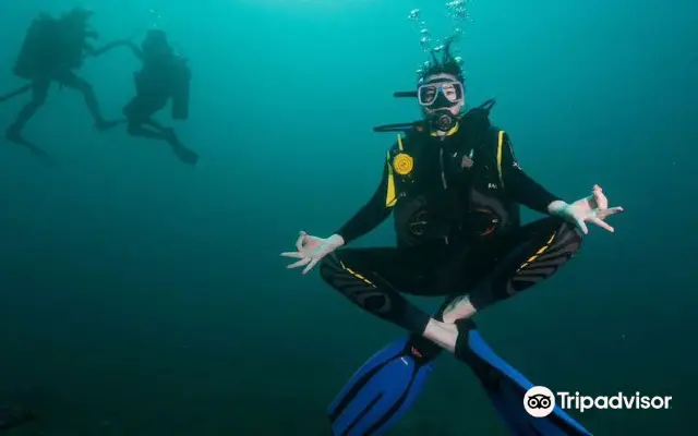 Scuba Diving in Penida Island