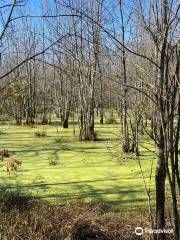 Beanblossom Bottoms Nature Preserve - Sycamore Land Trust
