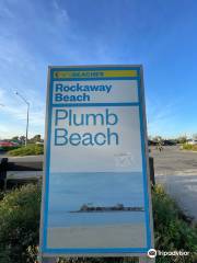 Plumb Beach （Gateway National Recreation Area）