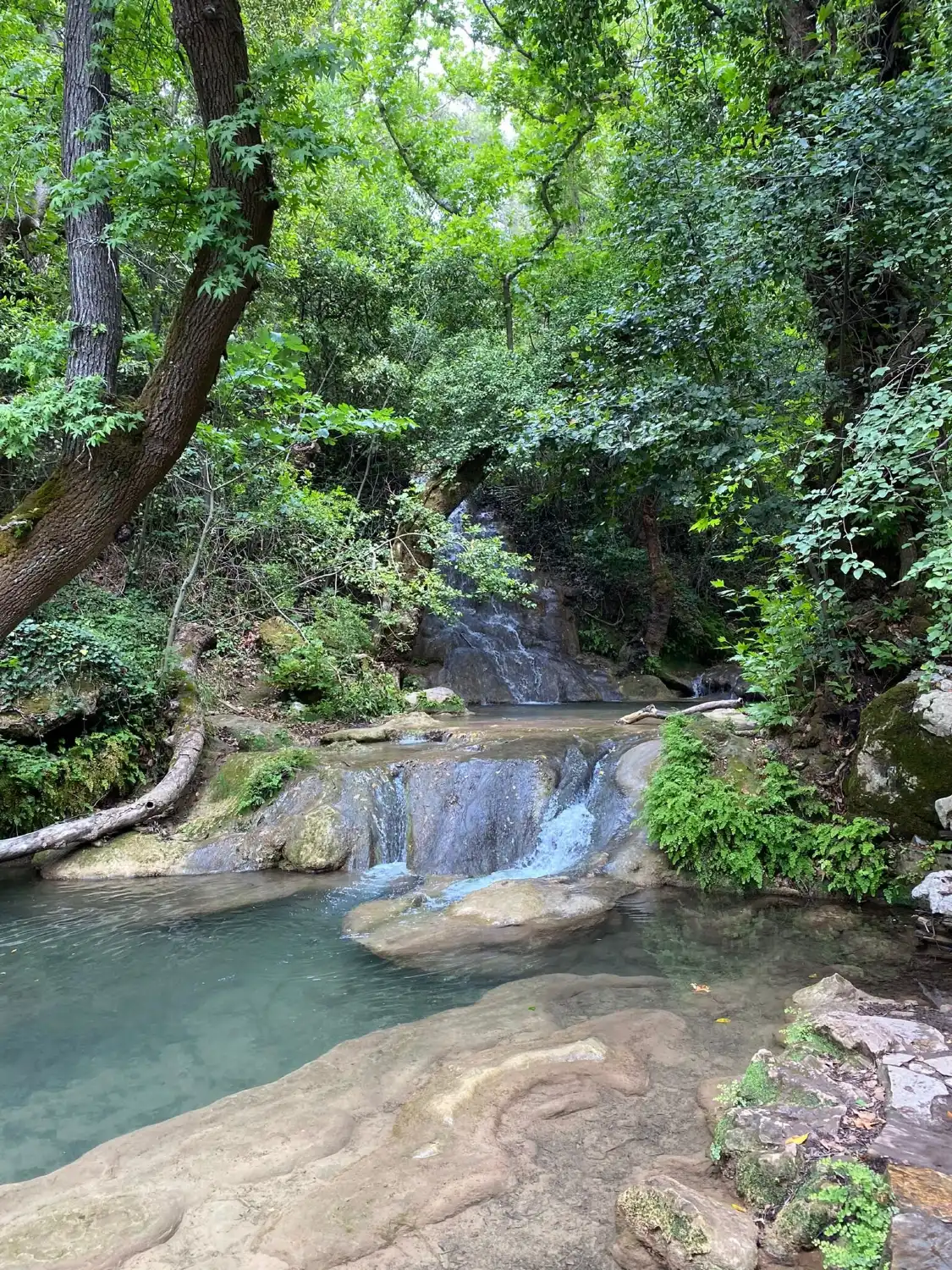 Hotels near Turgut Selalesi