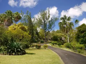 Jardin Botanique