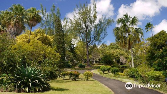 Kingstown