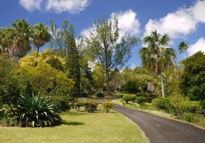 Jardin Botanique