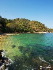 Vallarta Adventures - Las Caletas Beach Hideaway