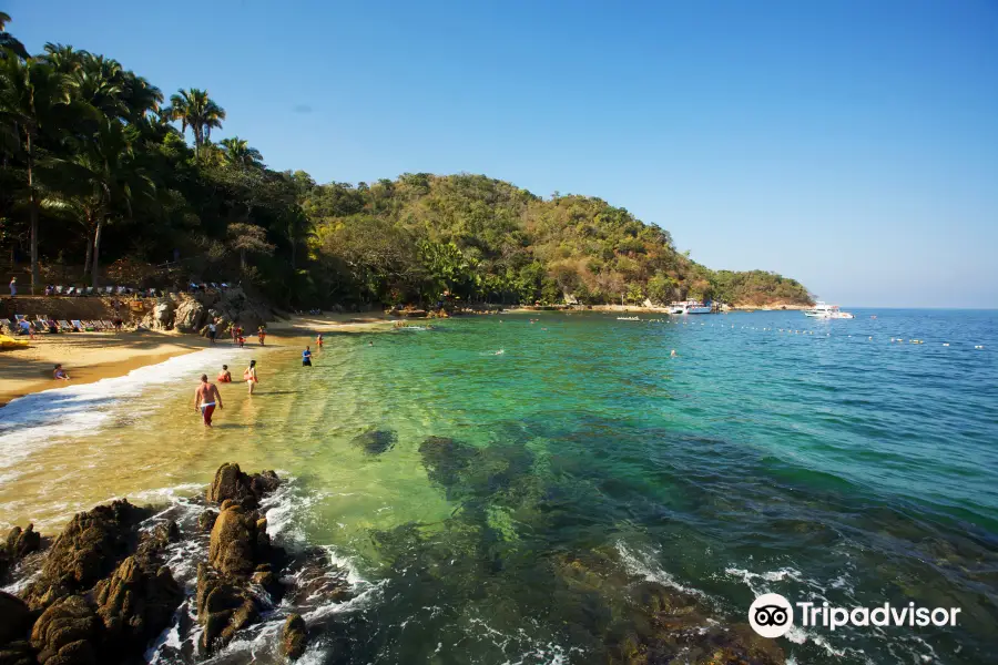 Vallarta Adventures - Las Caletas Beach Hideaway