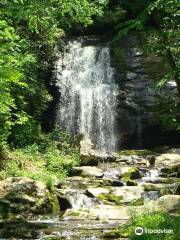 Meigs Falls