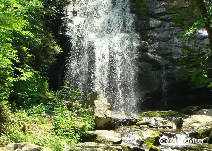 Meigs Falls