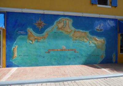 Turks and Caicos Map Mural