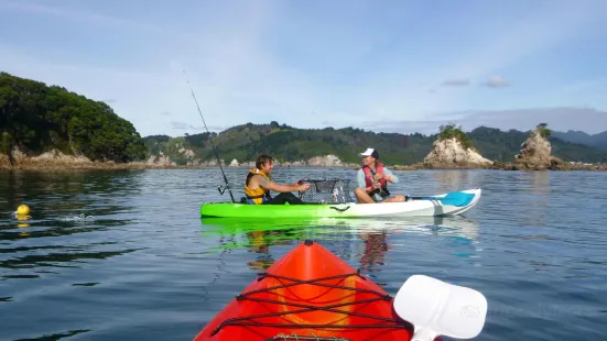 Whenuakura Island