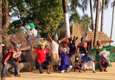 Elephant Show