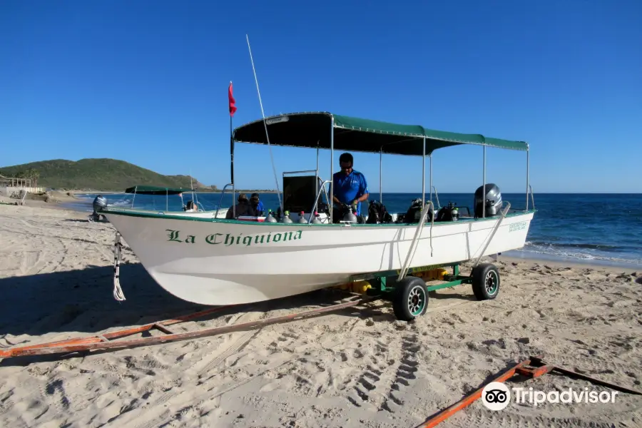 Cabo Pulmo Diving