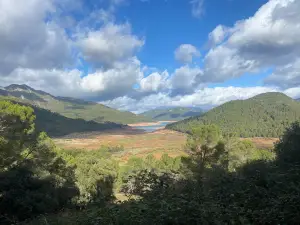 Parque Cinegético Collado del Almendral