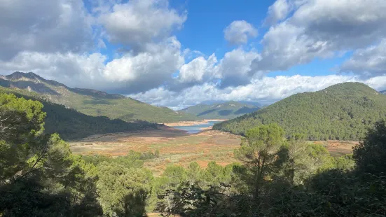 Parque Cinegetico Collado del Almendral