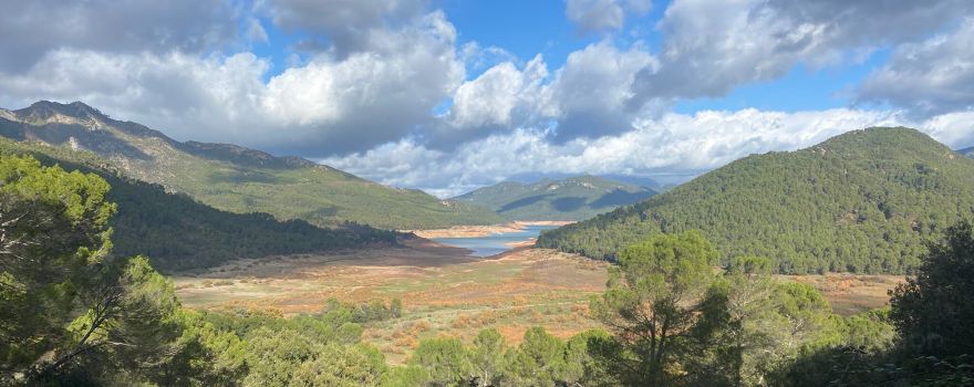 Parque Cinegetico Collado del Almendral