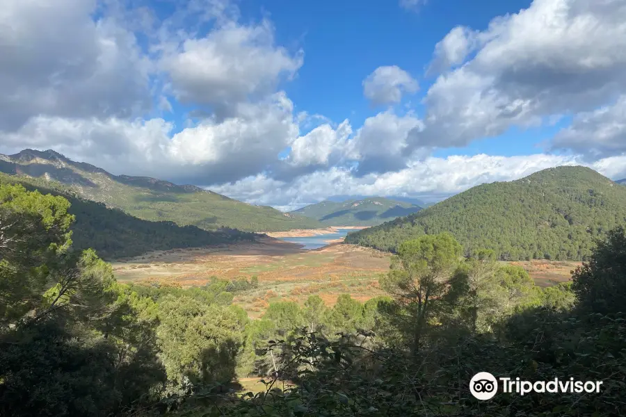 Parque Cinegetico Collado del Almendral