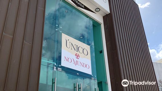 Life of Christ Museum