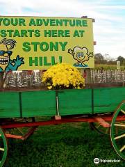 Stony Hill Farm Market