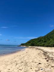 南風見田の浜